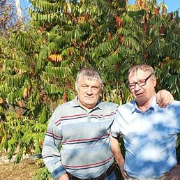 ������, ���������, 65 ���