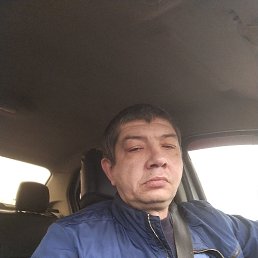 ���� ������, ��������, 49 ��� - ��������� 20 ������ 2025