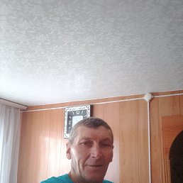 , 56, 