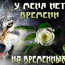 ���� ������, ������, 39 ��� - ��������� 24 ���� 2026 � ������ ���� ����������