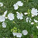 ���� ������, �����-���������, 62 ���� - ��������� 24 �������� 2025 � ������ �������