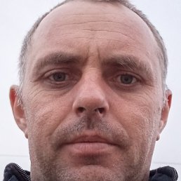 ����, ������, 40 ���