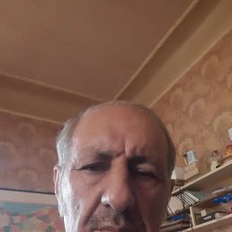 , 65, 