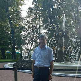 , 65, 