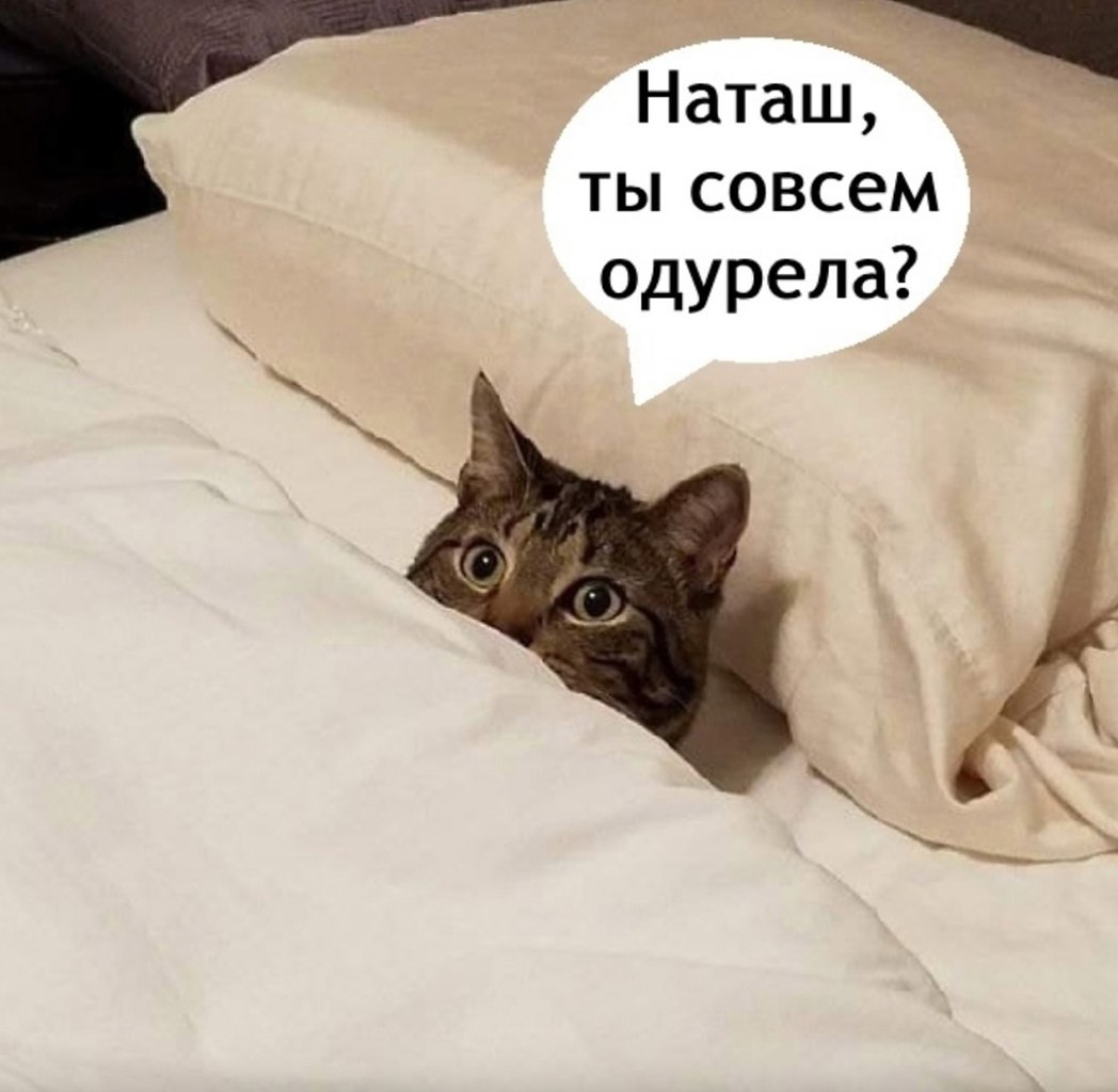   - 18  2025  23:54