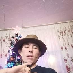, 36, 