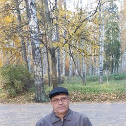 , 61 , -