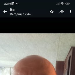 , 51, 
