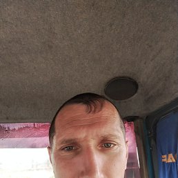 , 38 , -