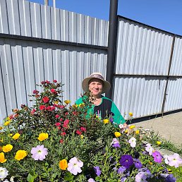 ������, �����������, 53 ����