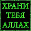 ���� �������, ������, 49 ��� - ��������� 16 ������ 2023 � ������ ���� ����������