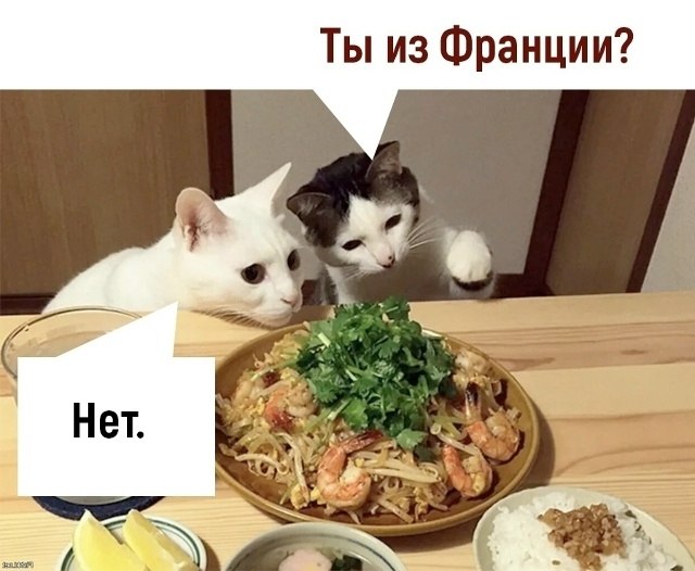 ��� ���� � ����� �� �� - 22 ������� 2025 � 13:33 - 2