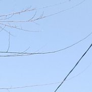 ����, 42 ����, ������