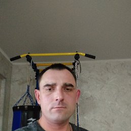 ��������, 37 ���, ������