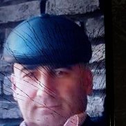 �����, 41 ���, ���������