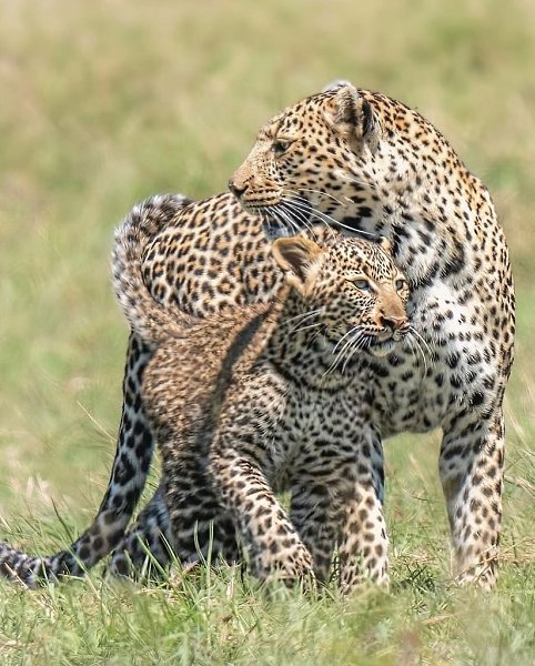 ����-������� �� ��������� ����� ������� ������ ����! �� ��� ����� ��� ���� �� ��������� � �������� ... - 2