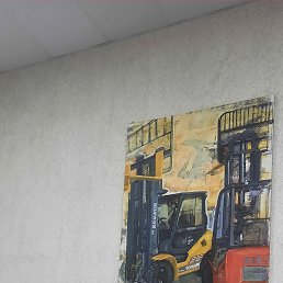 �����, ������, 37 ���