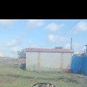 ���� ����, ������-��-����, 37 ��� - ��������� 16 ������� 2025 � ������ ���� ����������