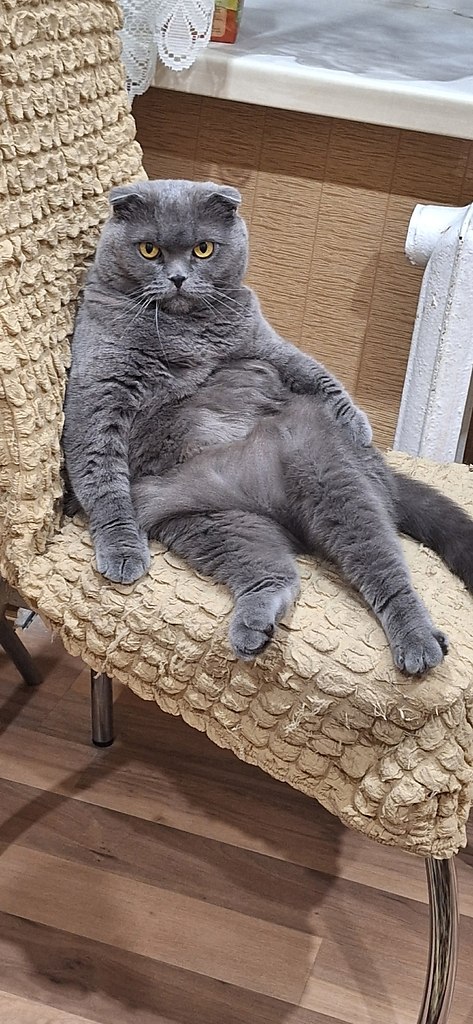  )