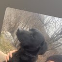 ���� �����, �����������, 26 ��� - ��������� 22 ������� 2023 � ������ ���� ����������