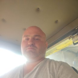 , 41, 