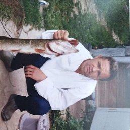 ������, ������� ��������, 60 ���