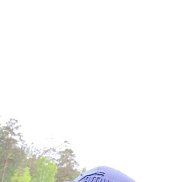, 41 , 