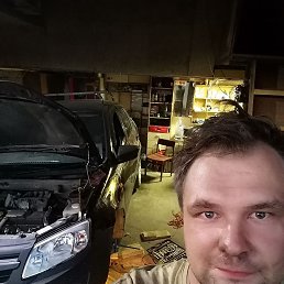 ���� ����, �����������, 41 ��� - ��������� 29 ������ 2024