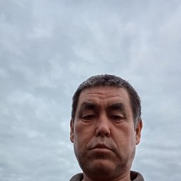 , 57, 