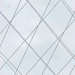 �����, �����������, 65 ���