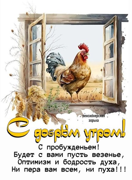  - 26  2024  08:49