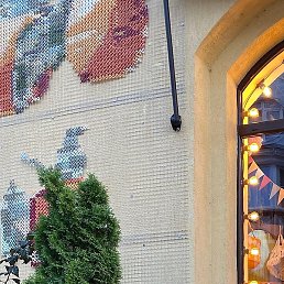 ����, �����, 48 ���