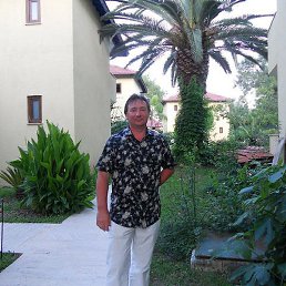 ������, ������