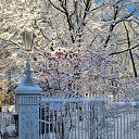 ���� ����, �����-��������� - ��������� 15 ������ 2025 � ������ ������ ��������
