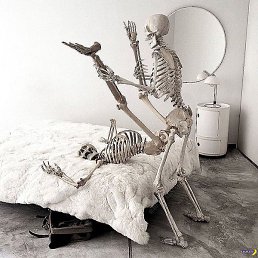 �������, ������, 32 ����