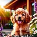 ���� ����, ����� - ��������� 4 ��� 2026 � ������ ������ ��������