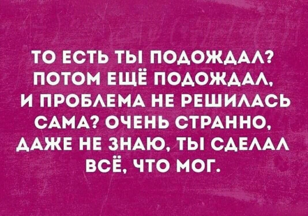   . - 19  2025  19:38