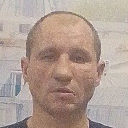 ����������, ���������, 37 ���