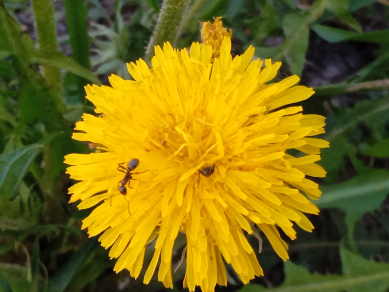 ���� ������� - 9 ��� 2026 � 20:27 - 5