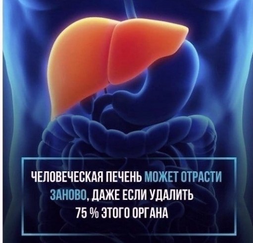 �������� - 23 ���� 2025 � 19:13