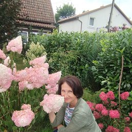 ���� �������, �����������, 57 ��� - ��������� 2 �������� 2025