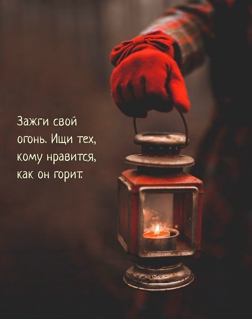 ������ | Wisdom & Beauty - 18 �������� 2025 � 17:55 - 5