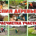 ���� ��������, ������-��-����, 38 ��� - ��������� 17 ������� 2026 � ������ ������ ��������