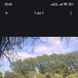 ����, �����������, 38 ���