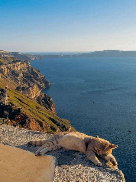 ������ �� ��������� ����� ���� ������ ����� - 2