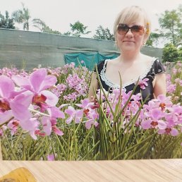 , 53, 
