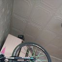���� �������, �������, 38 ��� - ��������� 20 ������� 2023 � ������ ���� ����������