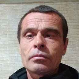 ����, �������, 41 ���