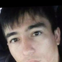 �����������, ������, 33 ����