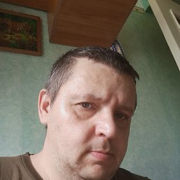 , 41, 